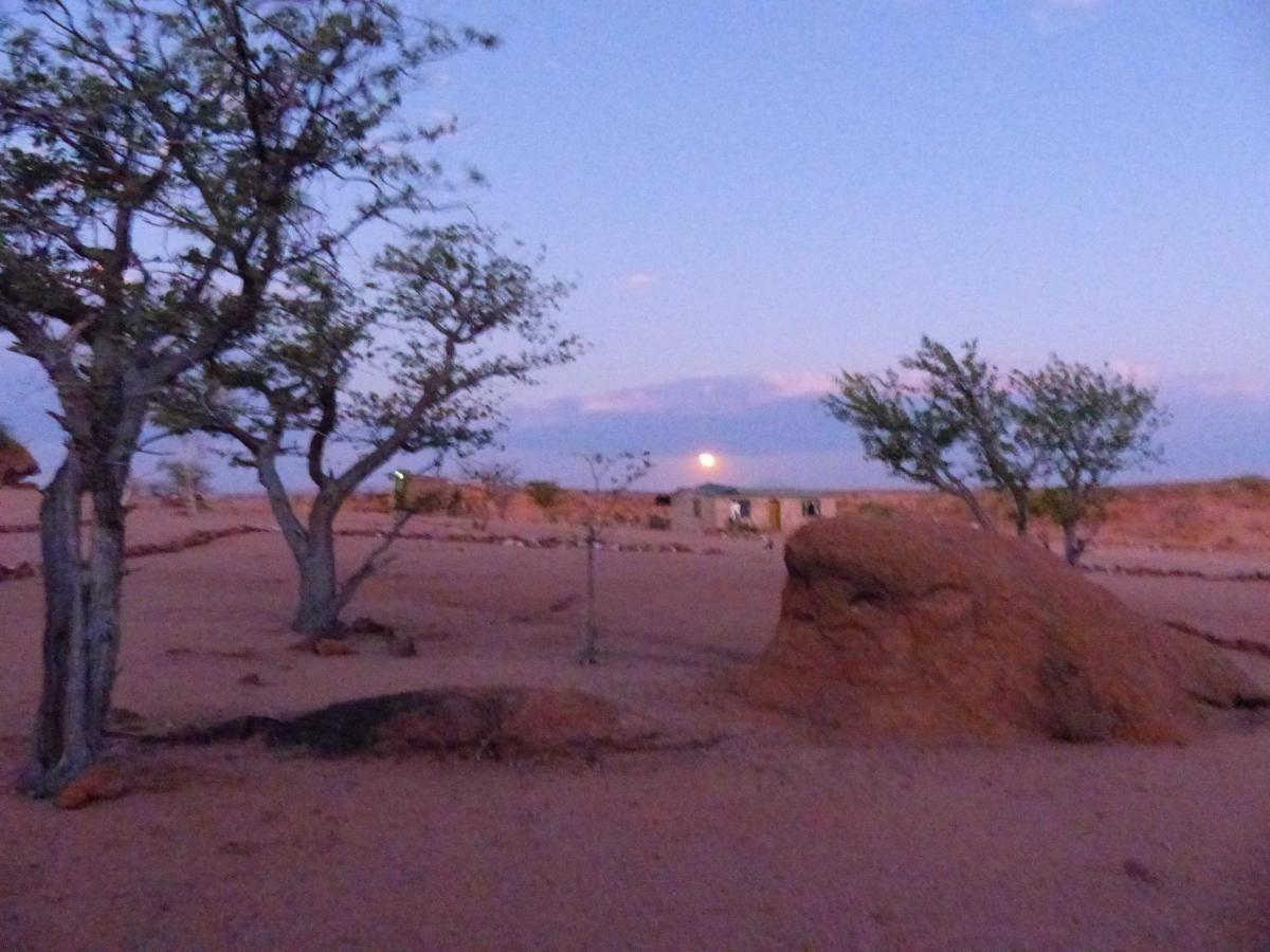 Ozohere Campsite And Himba Village Uis Bagian luar foto